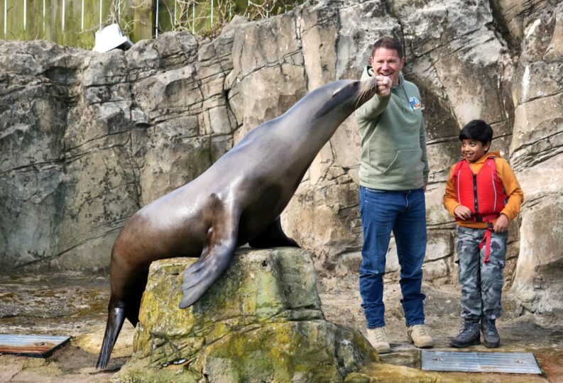 Steve and Aneeshwar Go Wild