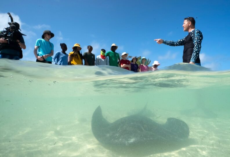 Award-winning television