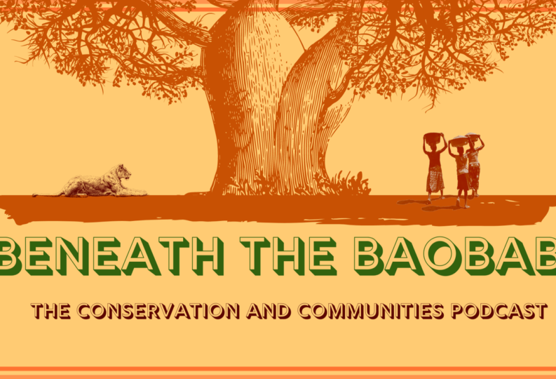 Beneath the Baobab with Gordon Buchanan