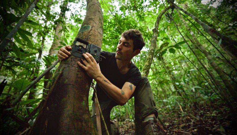 Dan O’Neill Forest