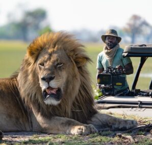 Vianet recording a lion