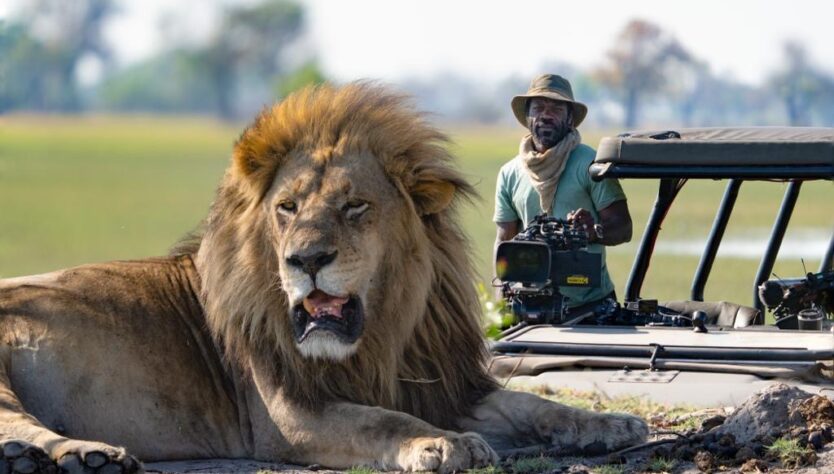 Vianet recording a lion