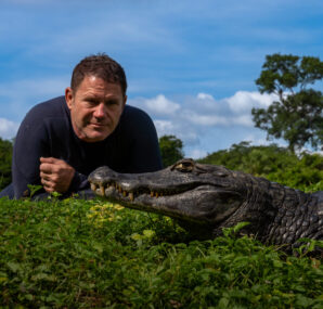 Steve Backshall holding a baby Alligator