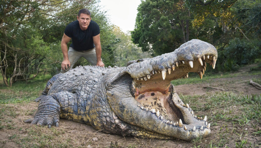 Steve Backshall stood next to a large crocodile