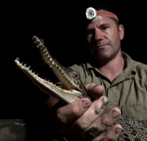 Steve Backshall holding a baby Alligator