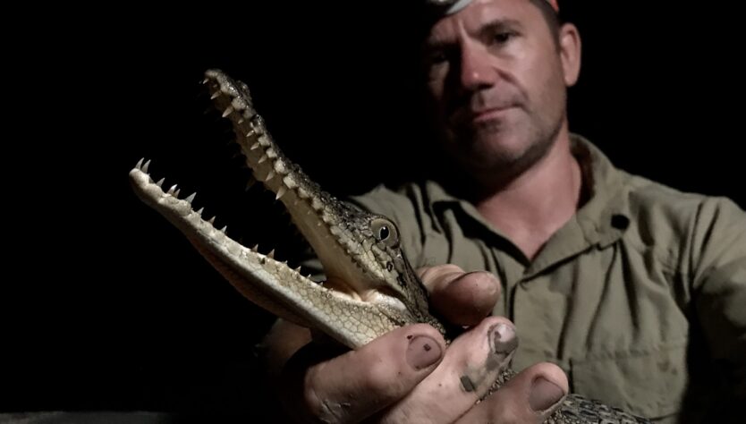 Steve Backshall holding a baby Alligator