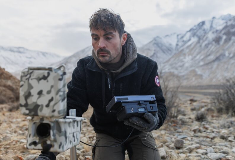 New commissions from Love Nature