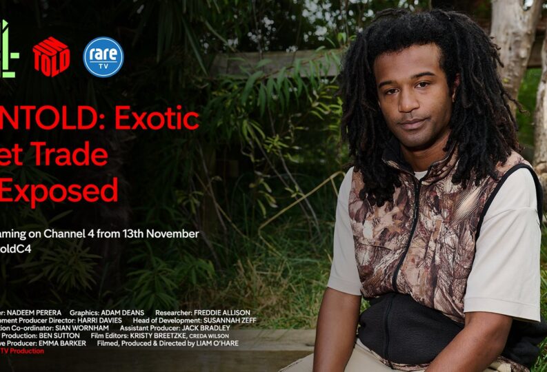 Nadeem Perera on Channel 4