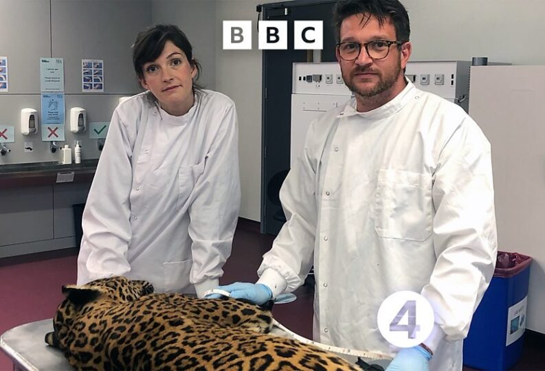 ‘Wild Inside’ returns to BBC Radio 4