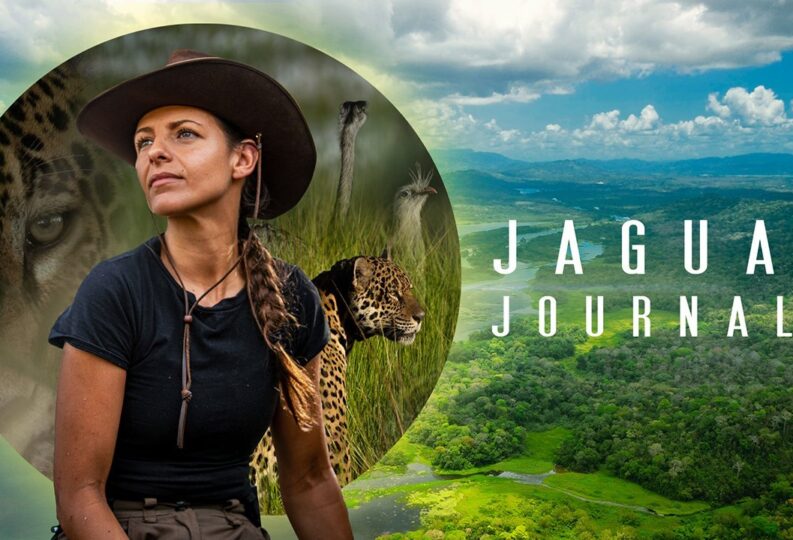Jaguar Journals with Lizzie Daly on Sky Nature