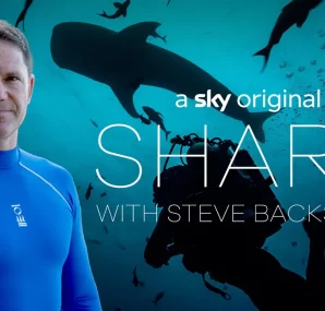 Steve Backshall holding a baby Alligator