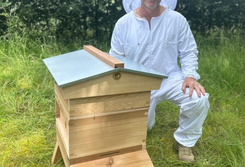 Steve gets busy with bees