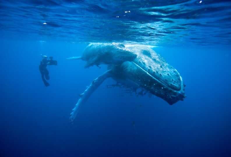 Doug Allan to speak at St.George’s Bristol