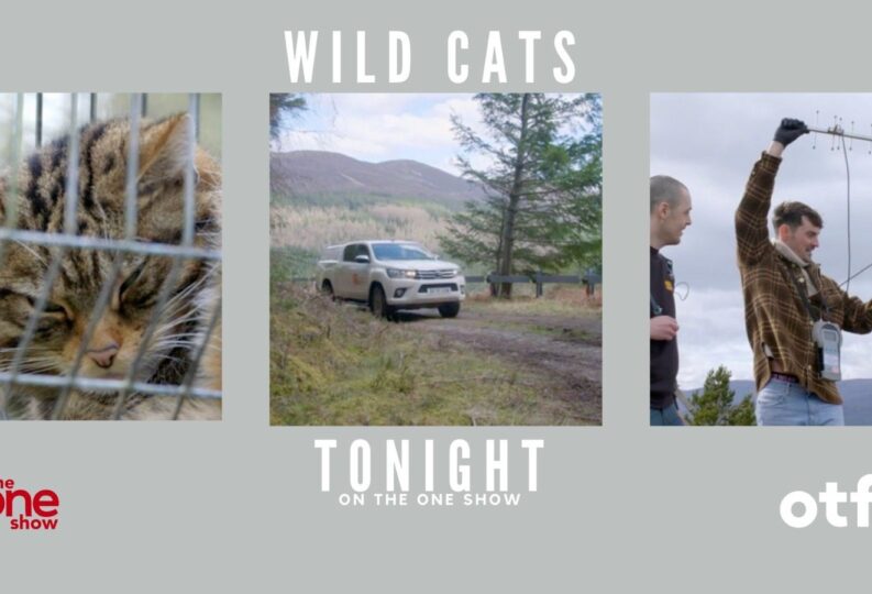 Dan O’Neill on The One Show