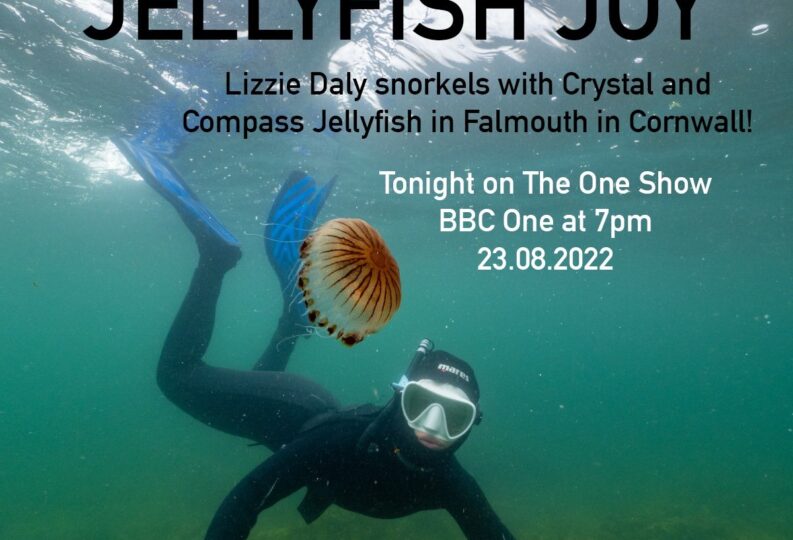 Lizzie Daly is on The One Show