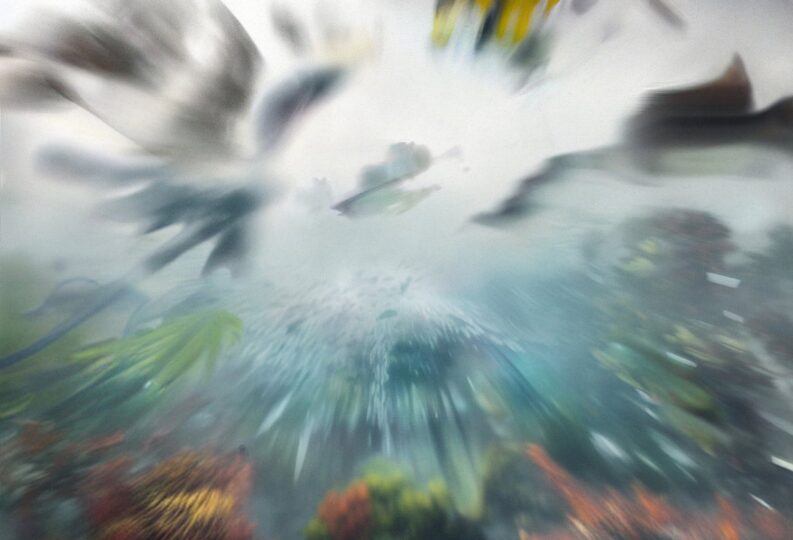 Dan O’Neill releases a double-album in-line with COP27