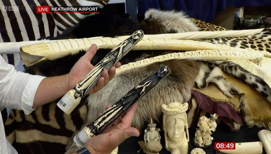 Steve Backshall talks with Justin Rowlatt at Heathrow’s ‘Dead Shed’ on BBC Breakfast