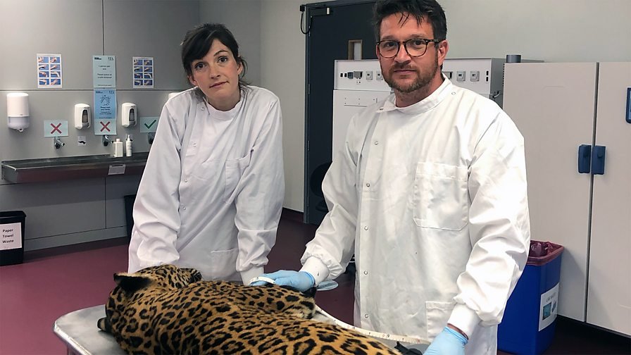 Wild Inside series 2 returns to BBC Radio 4