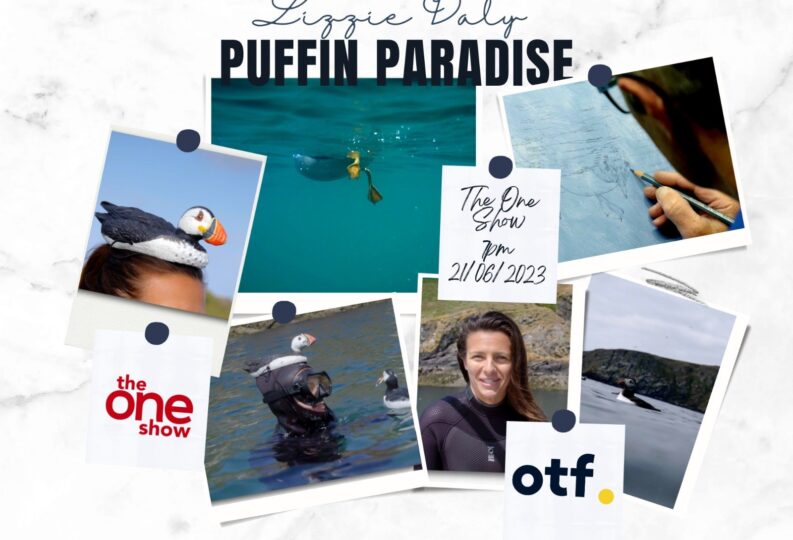 Lizzie Daly in Puffin Paradise