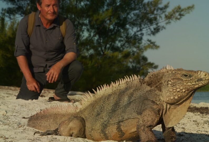 Colin Stafford-Johnson explores Wild Cuba